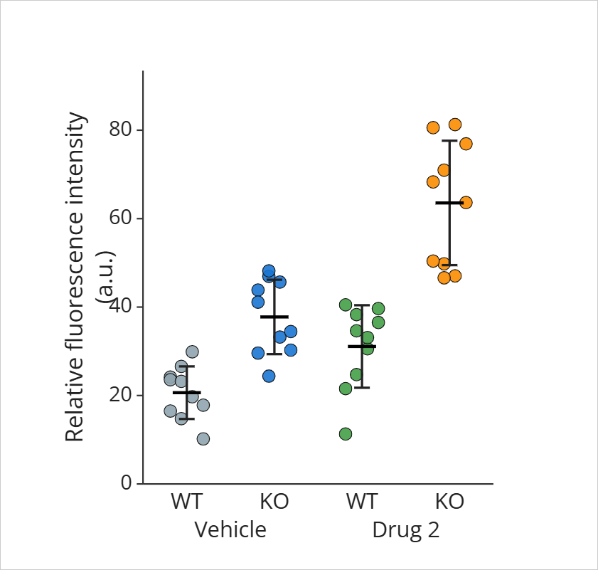 Grouped dot plot of relative fluorescence intensity (a.u.) for wild-type (WT) and knockout (KO) samples under Vehicle and Drug 2, each group with a summary line and error bars. No statistical comparisons are annotated.