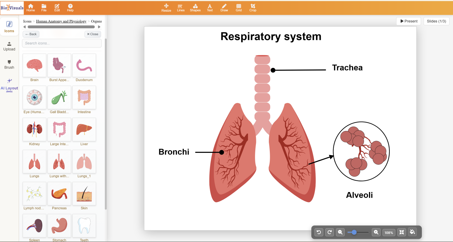 BioVisuals Studio canvas showing an annotated respiratory-system figure created with editable scientific illustrations